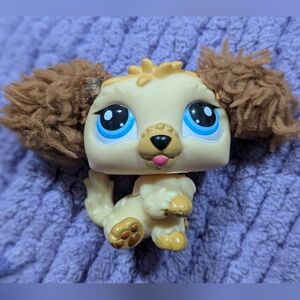 Authentic Littlest Pet Shop #2421 Labradoodle | Blue Eyes +Fuzzy ears | VG